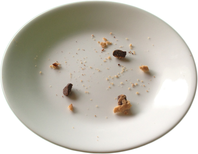 Chocolate chip cookie crumbs on plate
